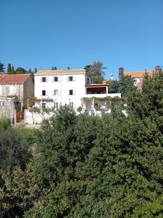 Villa Sea Dream Kolocep Gornje Celo Екстериор снимка