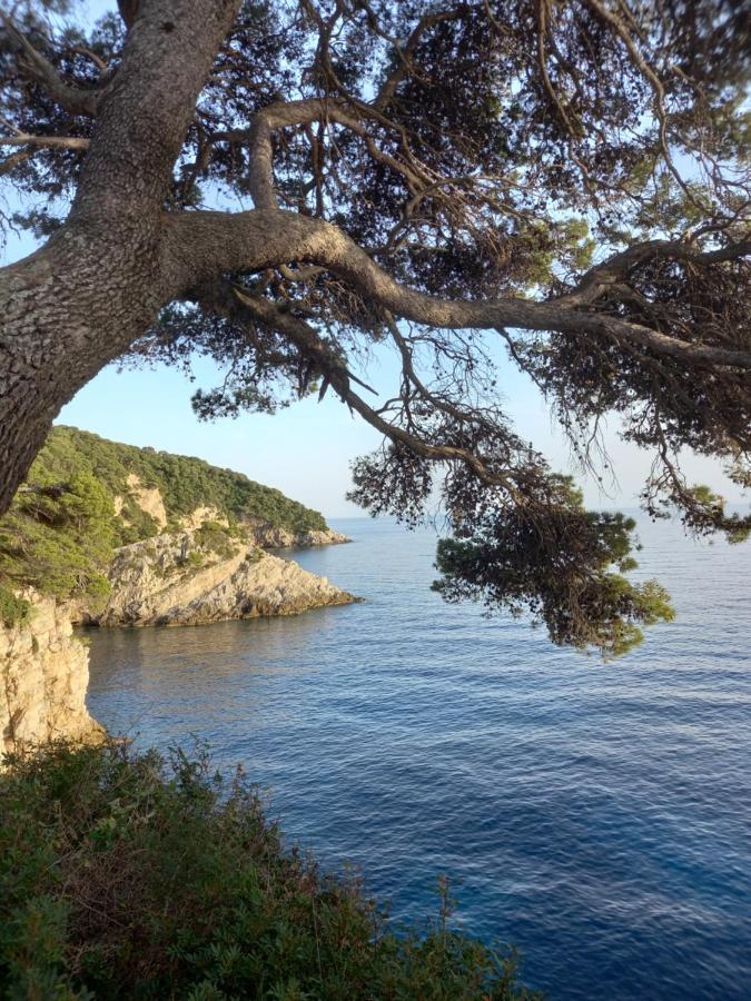 Villa Sea Dream Kolocep Gornje Celo Екстериор снимка