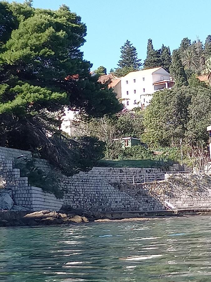 Villa Sea Dream Kolocep Gornje Celo Екстериор снимка