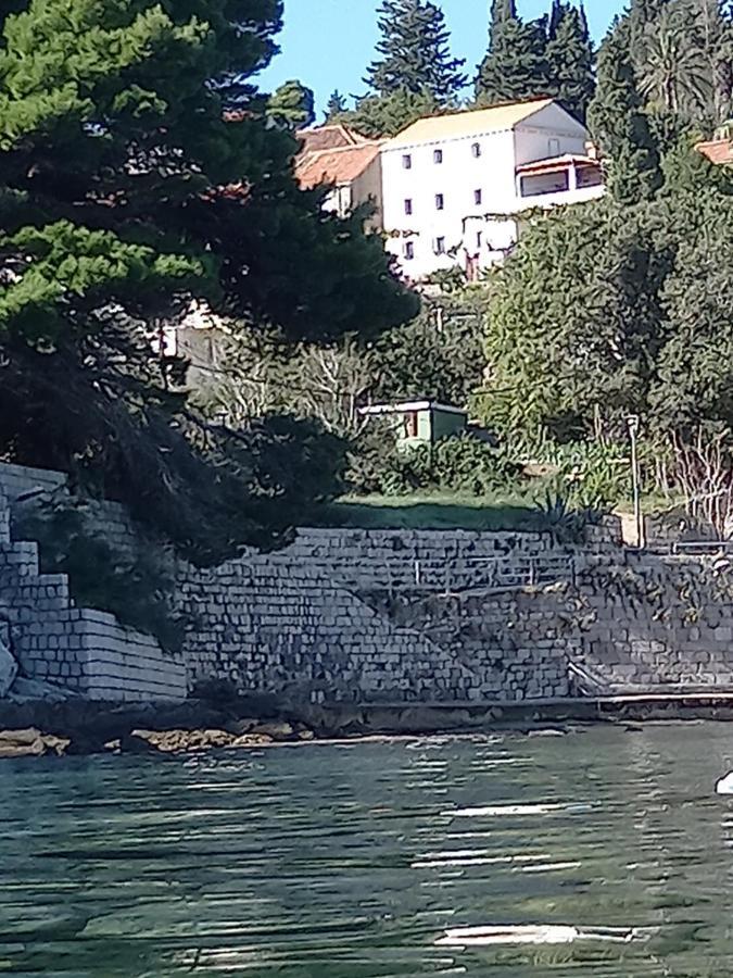 Villa Sea Dream Kolocep Gornje Celo Екстериор снимка