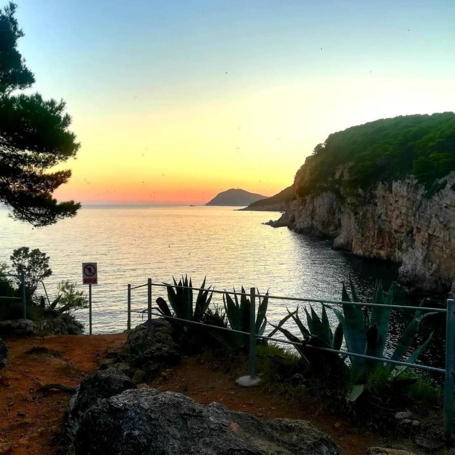 Villa Sea Dream Kolocep Gornje Celo Екстериор снимка
